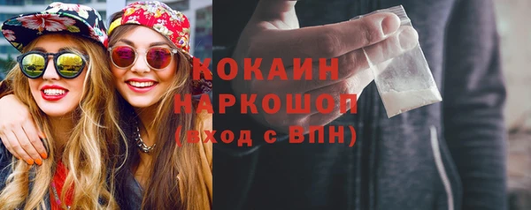 стаф Волосово