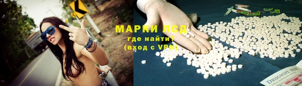 стаф Волосово