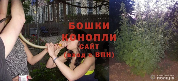 стаф Волосово