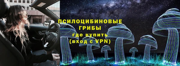 стаф Волосово