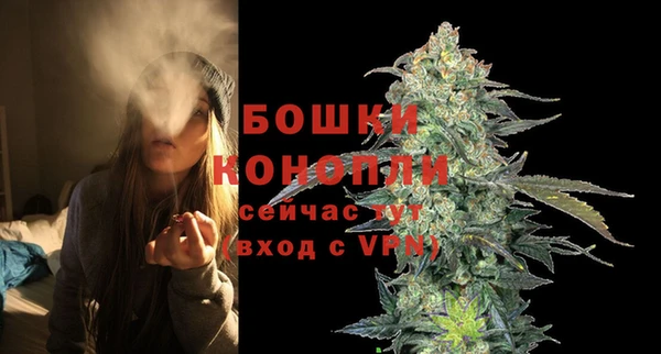 стаф Волосово